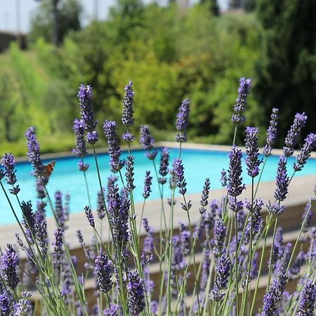 בארברינו די ואל ד'אלסה Villa Privata Per Famiglie O Amici מראה חיצוני תמונה